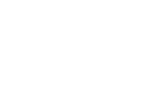 The Wire